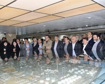 نقش حیاتی پتروشیمی بندر امام در کاهش ناترازی گازی