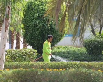 بهسازی فضای سبز در محدوده عملیاتی نفت و گاز پارس